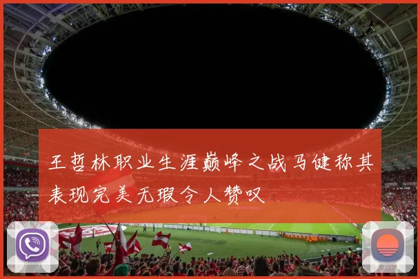 王哲林职业生涯巅峰之战马健称其表现完美无瑕令人赞叹