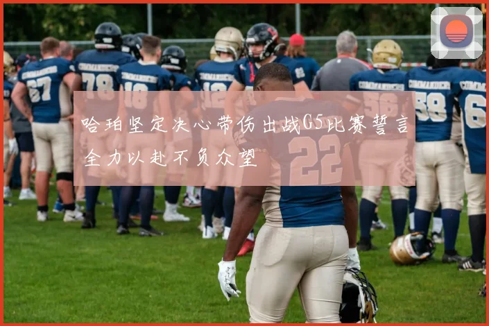 哈珀坚定决心带伤出战G5比赛誓言全力以赴不负众望